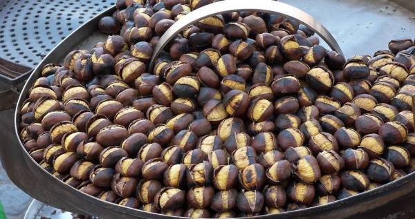 الكستناء فاكهة الشتاء المقاومة للأمراض