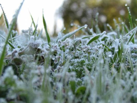 صقيع ليلا حتى الجمعة