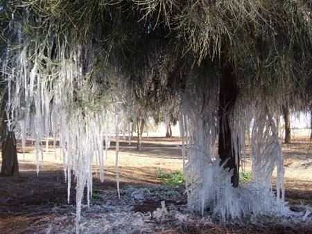 صقيع ليلا وأمطار السبت