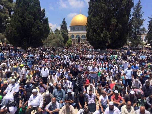 عدد الفلسطينيين في العالم 12 مليون فلسطيني