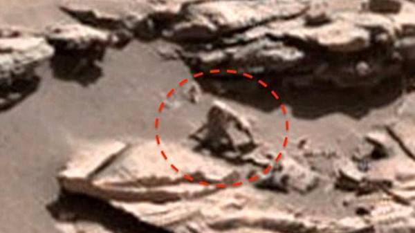 صور: قرد على سطح المريخ وغرائب أخرى