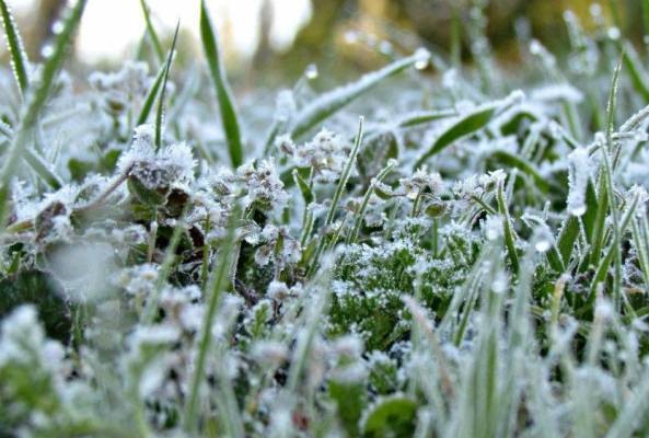 تعرّف على حالة الطقس ليوم غد السبت