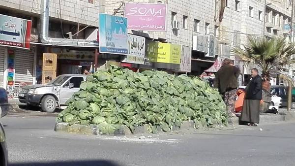 ملفوفيُغلق الشارع العام في معان!(صور)