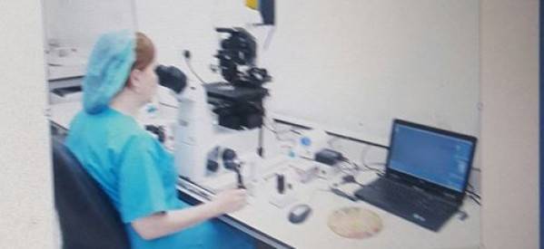 سيدة تنجب بتقنية زراعة أنسجة المبيض الذاتية المجمدة