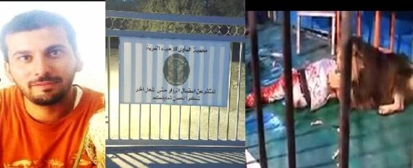 تفاصيل حصرية حول أسود الكمالية تُكذّب الرواية الرسميّة(الحلقة الأخيرة)