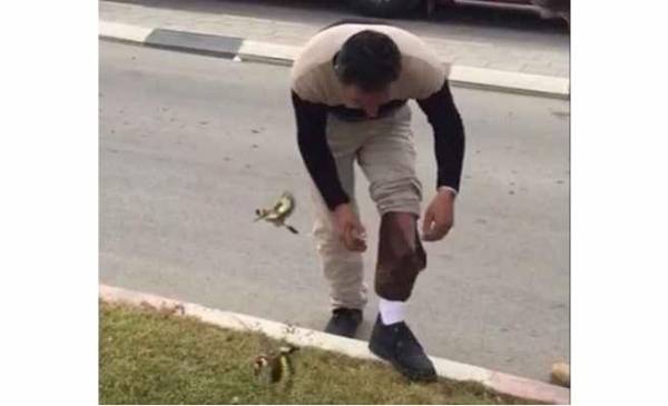 إحباط محاولة تهريب حساسين من الأردن إلى فلسطين (فيديو)