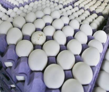 حماية المستهلك:استمروا بمقاطعة البيض