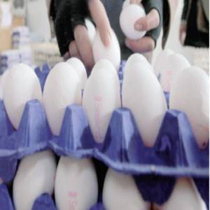 فيسبوكيون يعلنون‘‘ثورة على البيض‘‘