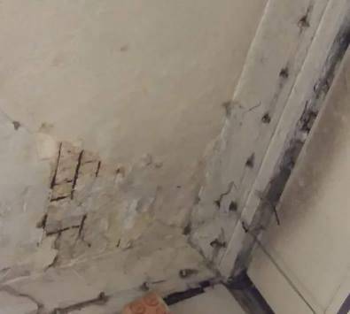 لجنة لفحص مباني سوق الخضار بعمّان