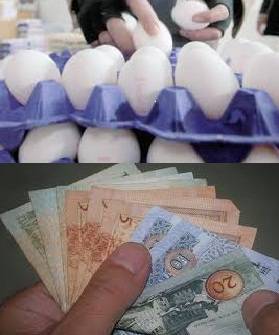 مرَبّي الدَواجِن:المُقاطعة لَم ولَن تُخفّض الأسعار!!!