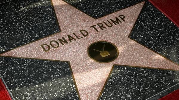 عقوبة غريبة فرضتها محكمة أمريكية على مليونير أهان نجمة ترامب