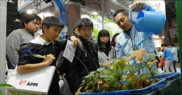 أوراق صحف قابلة للزراعة في اليابان