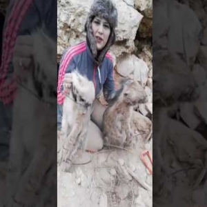 صائدة الضباع تتوعد المسيئين لها فيديو