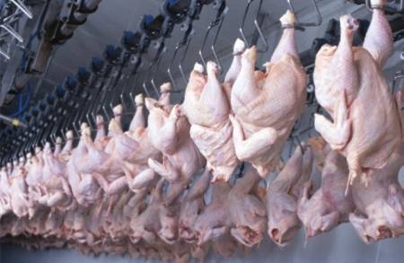 (مسلخ أمانة عمان) يتلاعب بتواريخ الإنتاج ..والأمانة ترّد ؟!(صورة)