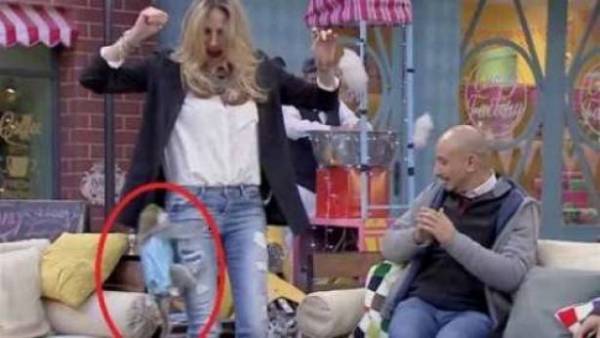 الفيديو: قرد يعَضّ مذيعة .. ونوبة ضحك على الهواء