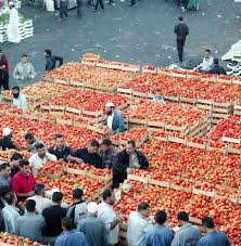 المستهلك : ارتفاع اسعار البندورة يعود الى العروة الشتوية الزراعية والاسعار ستنخفض قريبا