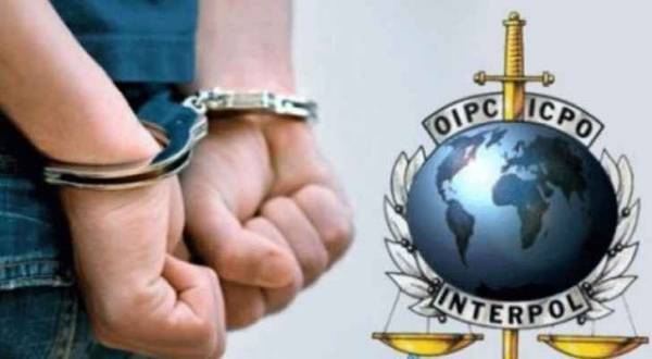 انتربول عمان يتسلم مطلوبا من السلطات القطرية