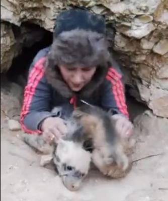 هيام عوض تمثل امام القضاء .. والأمن يفتش منزلها