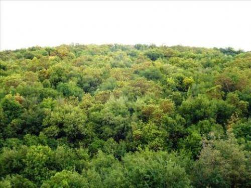 المعونة تنفذ حملة نظافة في اشتفينا