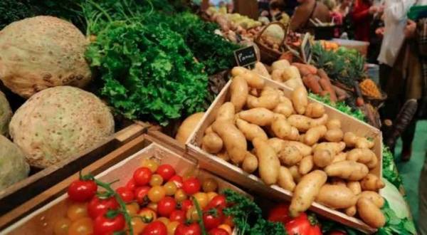 فوائد مخبأة بجزء من الخضراوات.. ونتخلص منه دائما