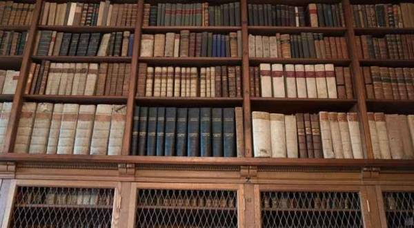 حكاية 13 كلمة عربية (سرقتها) الإنجليزية