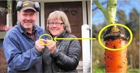 10 من أكثر الأشخاص حظاً في التاريخ الحديث .. تعرَّف على قصصهم العجيبة