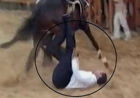 وفاة مواطن وسقوطه عن ظهر حصان بالطفيلة