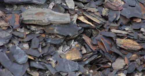 انطلاق مرحلة استغلال الصخر الزيتي في المملكة