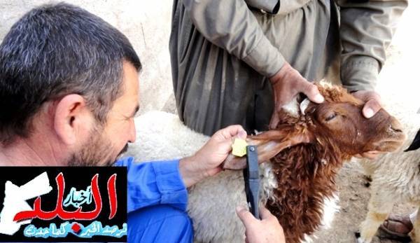 800 موظف و 4 ملايين دينار لتنفيذ التعداد الزراعي