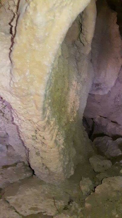 العثور على ديناصور في الكرك (صور)