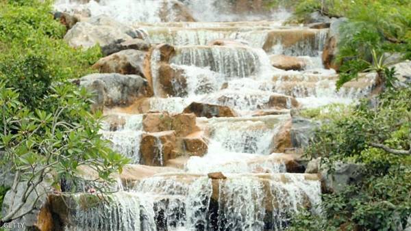 حادث غير عادي.. شجر يقتل 20