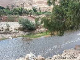 وفاة طفلين في سيل الزرقاء