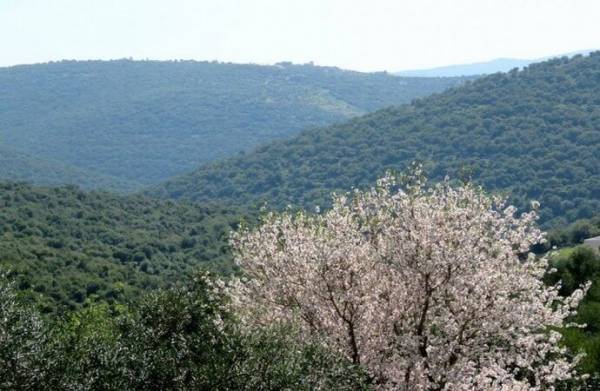 تعرف على حالة الطقس ليوم الأحد ما بين الأرصاد و طقس العرب