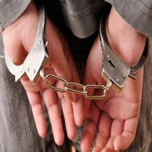 القبض على لصين امتهنا سرقة المزارع