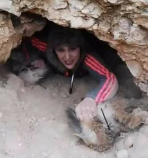 صائدة الضباع تتحدى حماية البيئة عبر فيديو جديد