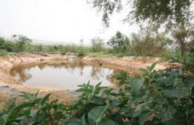 إجبار مزارعي الاغوار على تشييك بركهم