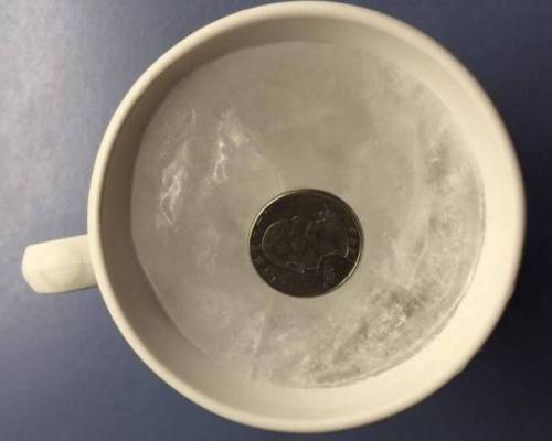 ضع عملة معدنية بالثلاجة قبل مغادرة المنزل.. وهذا ما سيحصل!