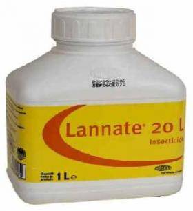 ثلاثيني يحاول الانتحار بتناول مادة اللانيت في الأغوار الشمالية