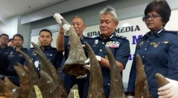 ماليزيا تضبط قرونا لوحيد القرن في المطار قيمتها 3.1 مليون دولار