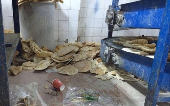 مصادر لـأخبار البلد براز فئران و صراصير داخل مخبز في الكرك