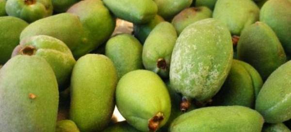 تناولوا 14 حبة منها لحرق الدهون!