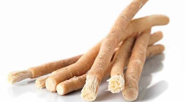 أوروبا تعتمد المسواك (فرشاة أسنان ثورية)