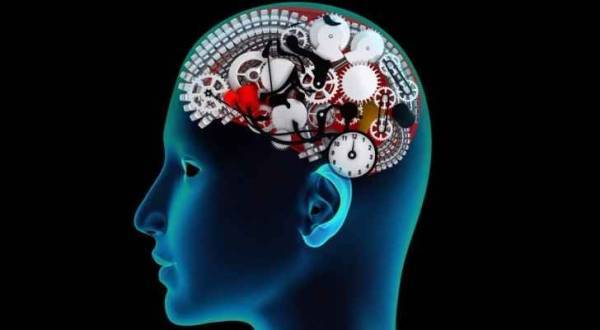 دراسة تكشف عمل الذاكرة عند الإنسان