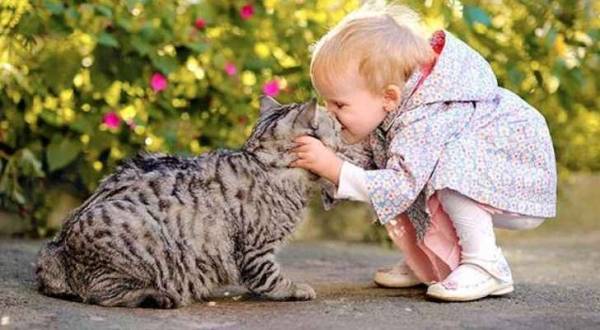 أبحاث: التعامل مع الحيوانات الأليفة يقلل من الحساسية والبدانة!