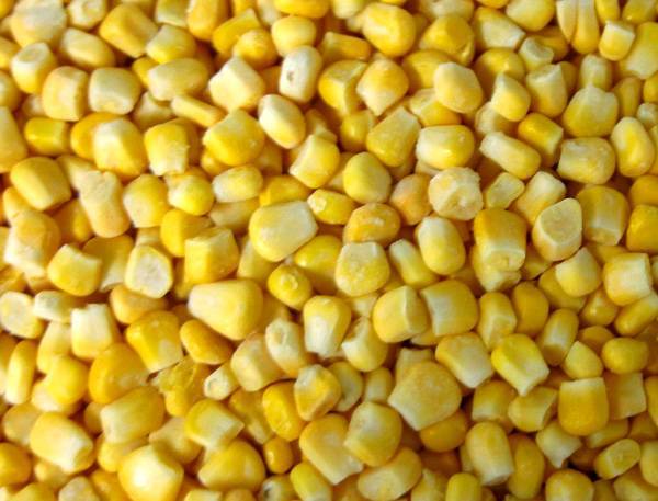 من هم أصحاب شحنة الذرة المضروبة .. ؟!!