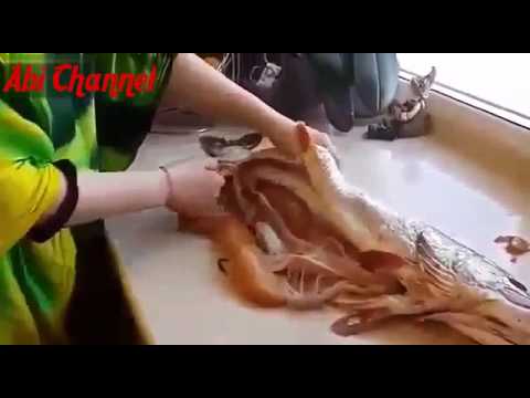 فيديو| هذه هو معنى السعادة.. سيدة وجدت ما لم تتوقع في بطن سمكة تونة أثناء تنظيفها !