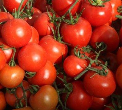 قرار كويتي بشأن الخضار الأردنية