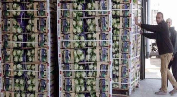 الغذاء والدواء: لا نفحص الخضار المصدرة إلى الخليج