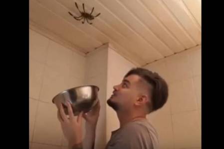 27 مليون مشاهدة لفيديو يرصد محاولة اصطياد عنكبوت.. (فيديو)