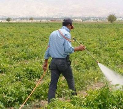 إجراءات جديدة من وزارة الزراعة